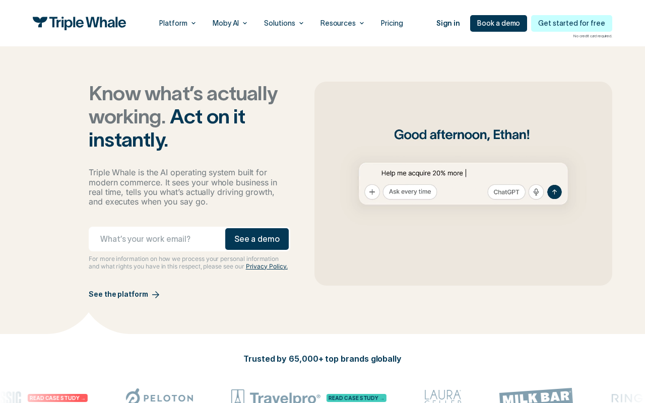 Screenshot of the Triple Whale homepage